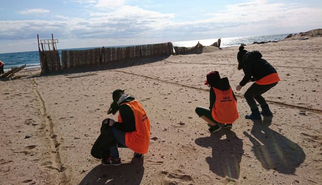 Plajele de pe litoral, sufocate de deșeuri - fotofondplajelesufocatedegunoaie-1559584242.jpg