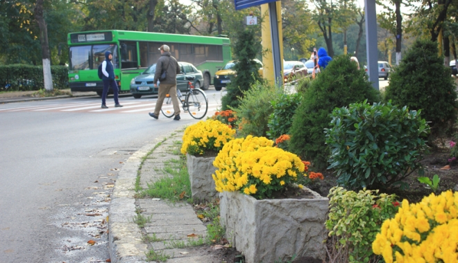 VINE TOAMNA SAU NE MAI BUCURĂM DE VARĂ? Iată cum va fi vremea în următoarele două săptămâni, la Constanța - fotofondplantari1445620811-1471867723.jpg