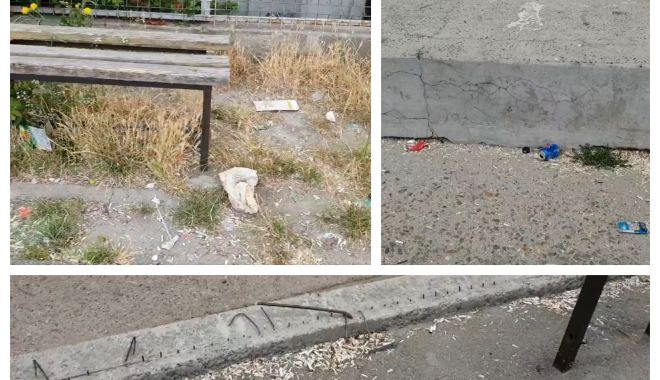 VIDEO. Curtea Școlii nr. 39 din Constanța, vandalizată! 