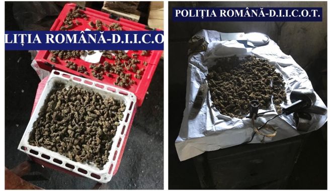 PERCHEZIȚII la Techirghiol și Eforie. Patru indivizi, arestați pentru trafic de minori și droguri! - fotojet-1568373476.jpg