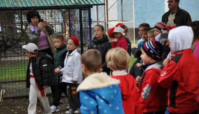 Matei a dus peste 100 de copii la mini grădina zoo de la Legmas - fotonavodari-1333739812.jpg
