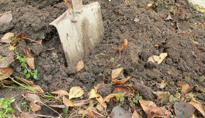 Cum se anunță anul agricol la Constanța - fotopamant-1326206279.jpg