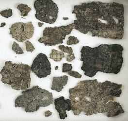 Cel mai important artefact pentru istoria Dobrogei - fragmentepapirus1-1317746407.jpg