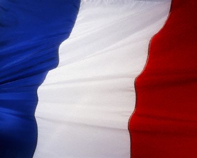 Candidată la prezidențiale în Franța, spitalizată după ce a căzut pe stradă - franceflag-1333400124.jpg