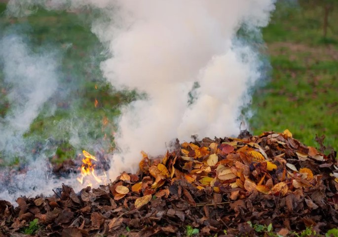 Stop arderilor după curățenia de primăvară. Focul este  interzis - frunze-1774253804.webp