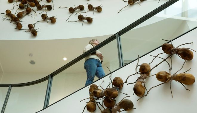 Rijksmuseum din Amsterdam, ''invadat'' de furnici gigantice în cadrul unei noi expoziţii