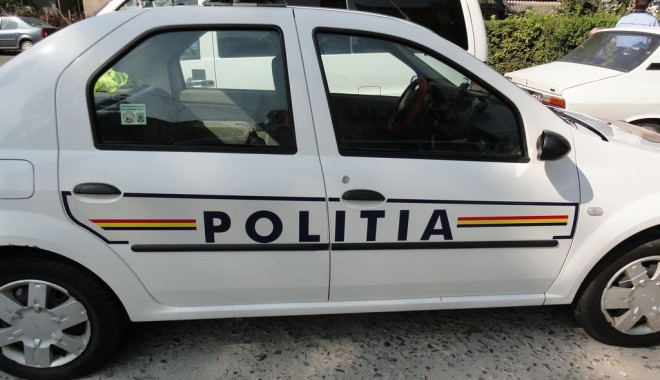 Tâlhar din Cobadin, arestat pentru 20 de zile - furt-1351503001.jpg