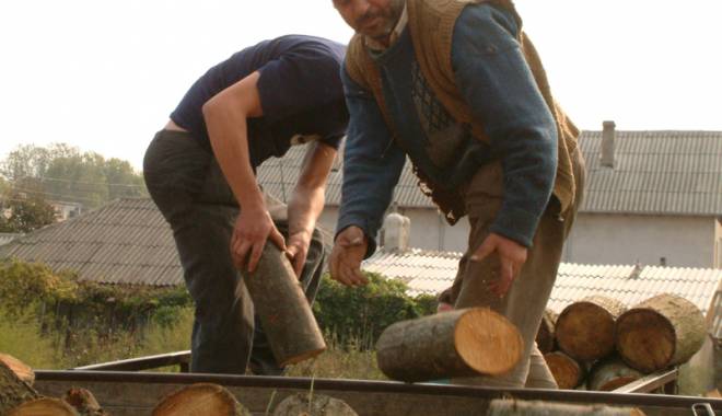 Prinși în flagrant, cu lemnu-n sac - furtlemne-1453998711.jpg