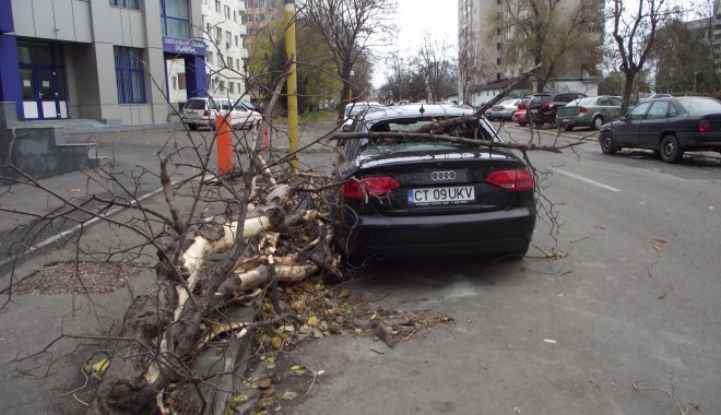 DEZASTRU. Audi, distrus de un copac căzut pe strada Traian - GALERIE FOTO - furtuna-1354520231.jpg