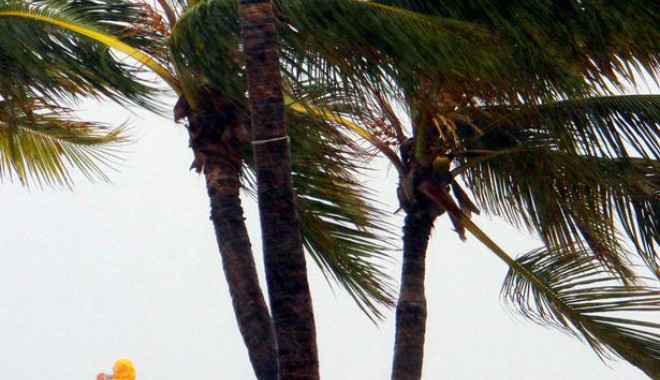 Florida, amenințată de furtuna tropicală 