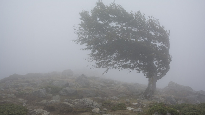 Constanța, sub avertizare meteo de tip COD GALBEN! Ce ne așteaptă în următoarele ore - furtuna-1713602618.jpg