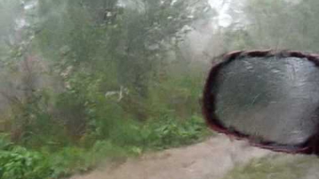 Furtună violentă în Delta Dunării VIDEO - furtuna04593400-1322205485.jpg