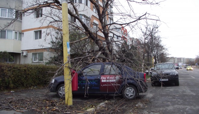 DEZASTRU. Audi, distrus de un copac căzut pe strada Traian - GALERIE FOTO - furtuna1-1354520318.jpg