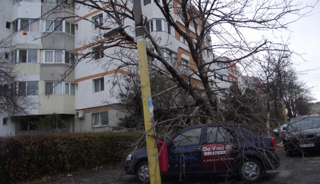 DEZASTRU. Audi, distrus de un copac căzut pe strada Traian - GALERIE FOTO - furtuna2-1354520309.jpg