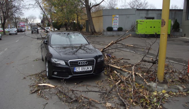 DEZASTRU. Audi, distrus de un copac căzut pe strada Traian - GALERIE FOTO - furtuna4-1354520288.jpg