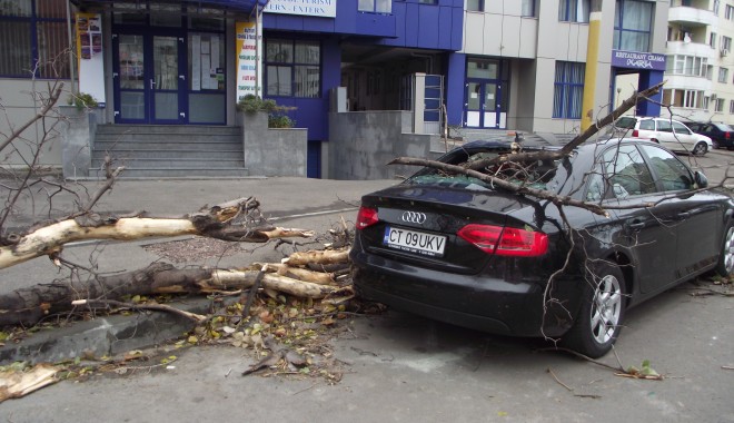 DEZASTRU. Audi, distrus de un copac căzut pe strada Traian - GALERIE FOTO - furtuna5-1354520269.jpg