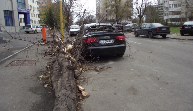DEZASTRU. Audi, distrus de un copac căzut pe strada Traian - GALERIE FOTO - furtuna6-1354520279.jpg