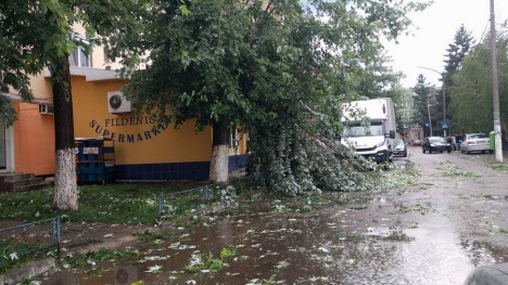 PLANUL ROȘU DE URGENȚĂ, activat / O persoană a murit, mai multe sunt rănite în urma unei furtuni puternice - furtunaalesd07-1500841022.jpg