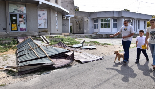 ISU și RAJA s-au mobilizat în urma furtunii care a lovit Constanța - furtunaconstanta4-1474293800.jpg