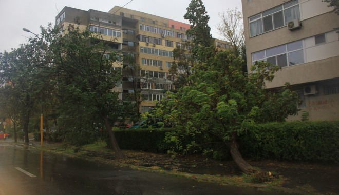 Transportat la spital după ce a fost lovit de crengi desprinse dintr-un copac - furtunacopacicazuti16-1380647158.jpg