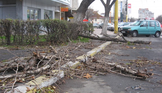 GALERIE FOTO CONSTANȚA / Furtuna a smuls copacii din rădăcină - furtunaitc3-1354520130.jpg