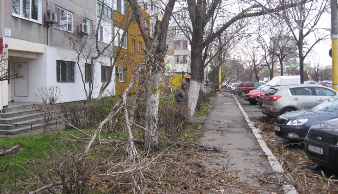 GALERIE FOTO CONSTANȚA / Furtuna a smuls copacii din rădăcină - furtunaitc5-1354520147.jpg
