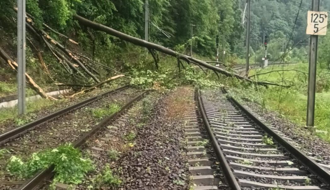 Furtunile afectează circulația trenurilor: restricții pe anumite sectoare. Ce spune CFR - furtuni-cfr-1753612048.jpg