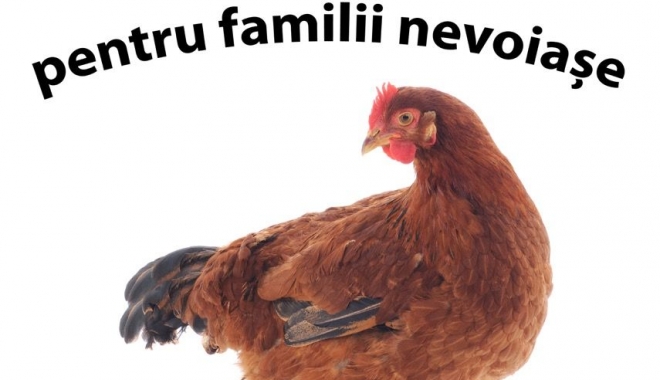 Găini ouătoare, pentru familii nevoiașe din Dobrogea - gainioutoare-1461748237.jpg