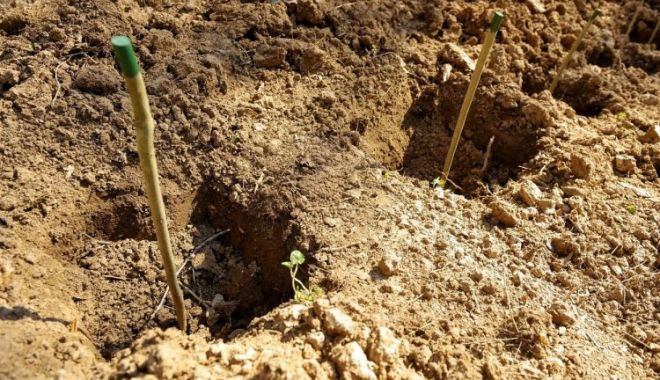 Un craniu a fost găsit pe Faleza Dunării din Galaţi