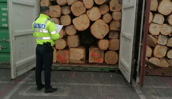 GALERIE FOTO. Stejar pentru export, trecut cherestea în acte, depistat de poliţişti, Portul Constanţa Sud Agigea - galerie2-1647964101.jpg