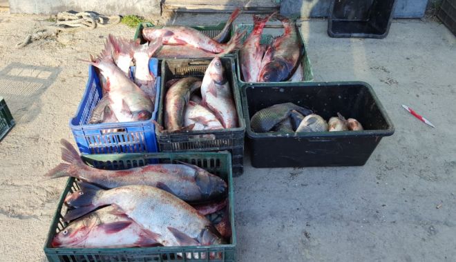Garda de Coastă. Peste 200 kg de pește, confiscate de polițiștii de frontieră - gardadecoasta1-1583744887.jpg