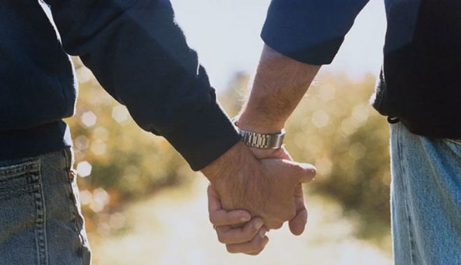 Familiile formate din persoane de același sex, în atenția Guvernului