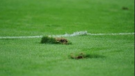 Steaua – Schalke 04 se joacă pe 15 septembrie - gazon72621300-1315561093.jpg