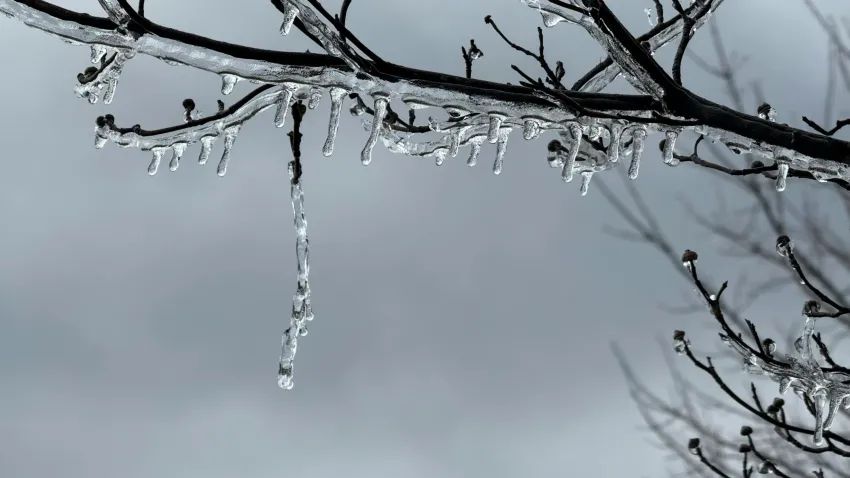 Alertă ANM de vreme rea. Revin zăpezile și gerul în Dobrogea - ger-1769674989.webp