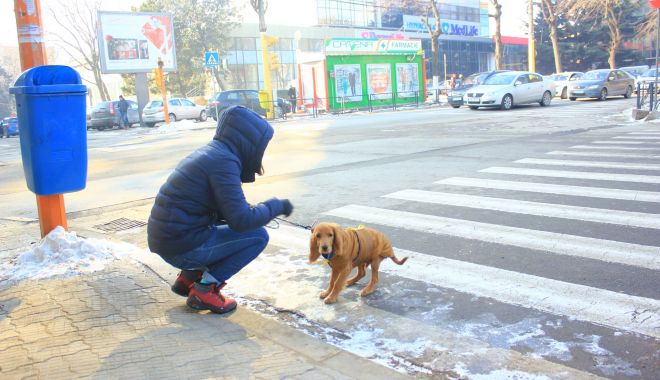 Ger şi ninsori, săptămâna aceasta, în zona litoralului - gersininsori-1646584485.jpg