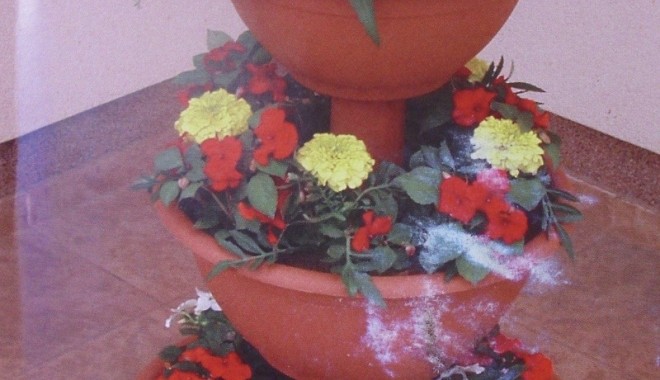 Ghivecele din plastic, pe placul plantelor? - ghiveceplastic13m-1394713460.jpg