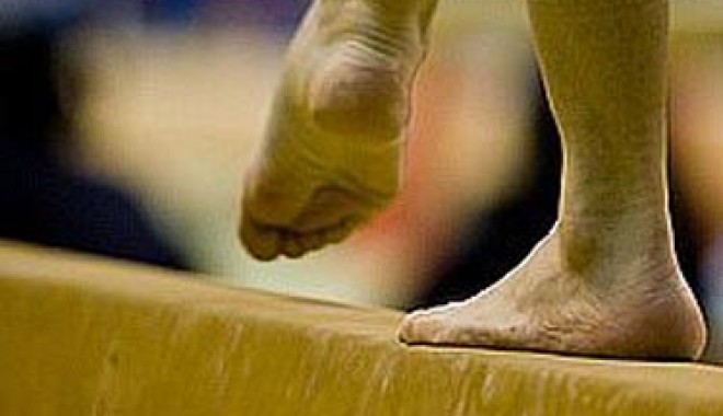 Silvia Stroescu se pregătește de lucrarea de doctorat - gimnasticasursaemaramuresro-1405334689.jpg