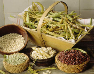 Glucidele, sursă de energie pentru organism - glucidele-1355152439.jpg