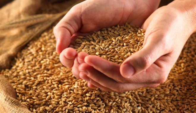 Specialiștii au găsit un remediu pentru intoleranța la gluten - gluten-1494262221.jpg
