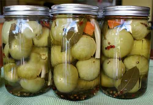 Gogonele picante - gogonelepicante-1412603683.jpg