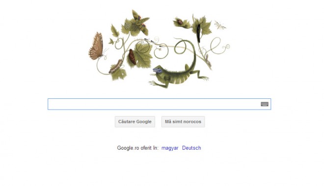 Logo Google dedicat artistei Maria Sibylla Merian - google-1364888068.jpg