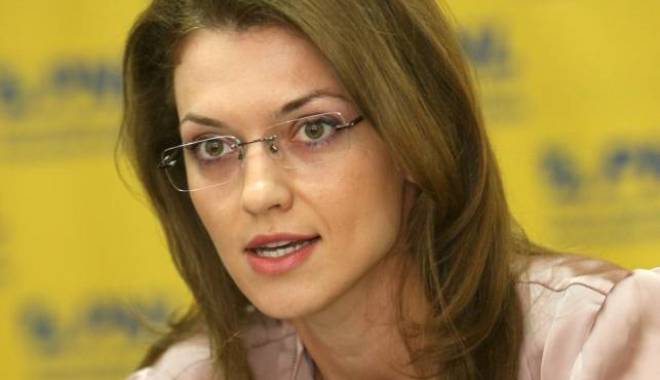 Gorghiu: Investițiile străine au de suferit - gorghiu1429258108-1429260654.jpg