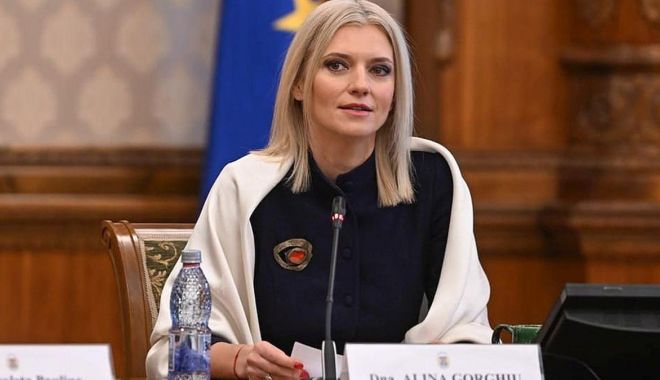 Alina Gorghiu: Mergem mai departe cu reforma pensiilor speciale