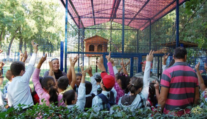 Primarul Matei a invitat 40 de copii  la mini grădina sa zoologică - gradinazoonavodaricasamatei-1318165643.jpg