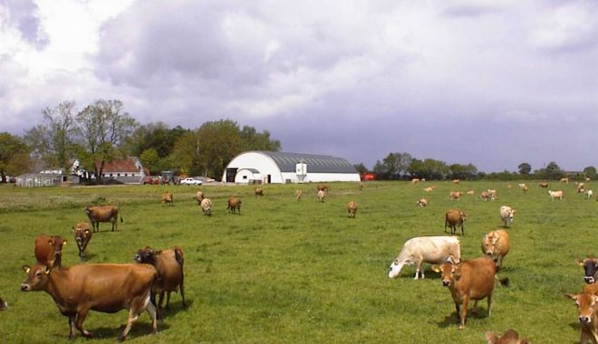 Se dă startul programului „De trei ori subvenţii”. Fermierii pot accesa credite de la CEC - grajdiuribovine4-1658294500.jpg
