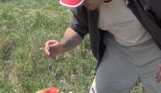 Unde putem să facem grătar de 1 Mai în județul Constanța - gratar001-1334948213.jpg