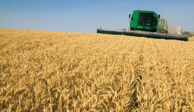 Agricultura a dat chix. Producții la jumătate anul acesta, la grâu și orz - grau-1339702033.jpg