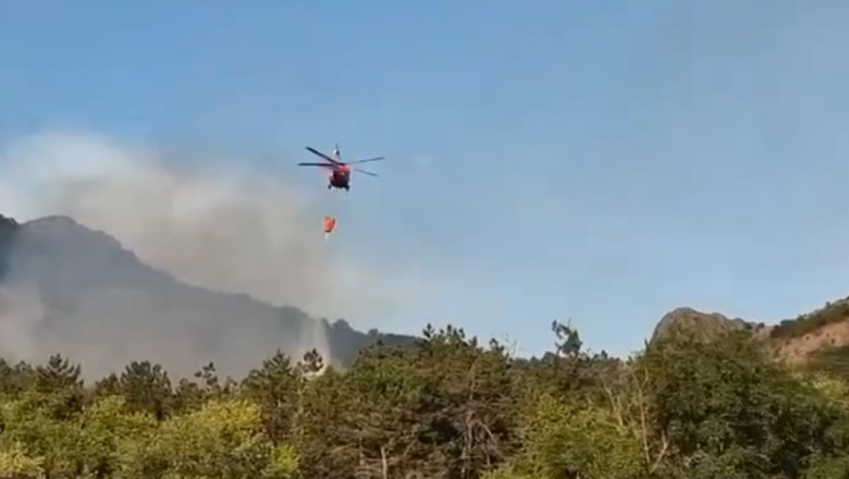 Un elicopter Black Hawk intervine pentru stingerea incendiului de lângă satul Greci, județul Tulcea - greci-1752563488.jpg