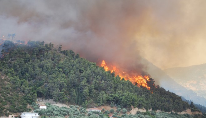 Incendii de vegetație în Grecia, Atena a cerut ajutorul UE - grecia-1314385659.jpg
