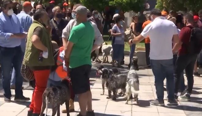 Grecii au protestat împotriva sterilizării animalelor de companie - greciiauprotestat-1621885330.jpg